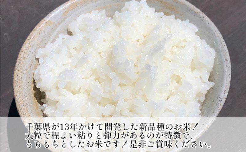 【ふるさと納税】令和7年 コシヒカリ　白米　10kg お米 精米 粘りつやつや 甘み 美...