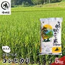 【ふるさと納税】新米 令和7年 コシヒカリ 無洗米 5kg お米 精米 粘りつやつや 甘み 美味しい 新鮮