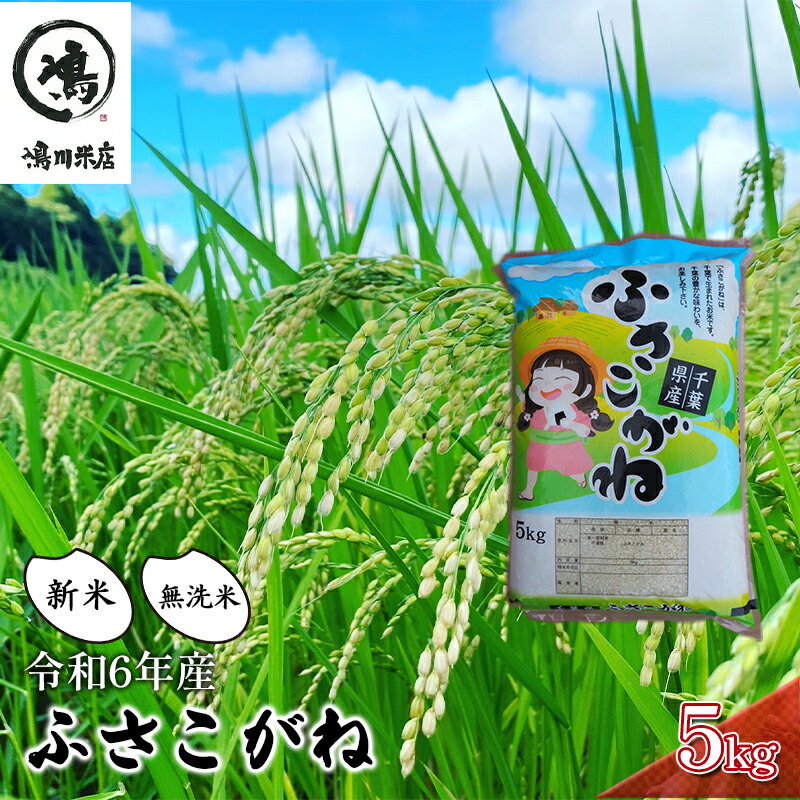 [令和8年産]ふさこがね 無洗米5kgお米千葉県 お届け:2026年8月10日から