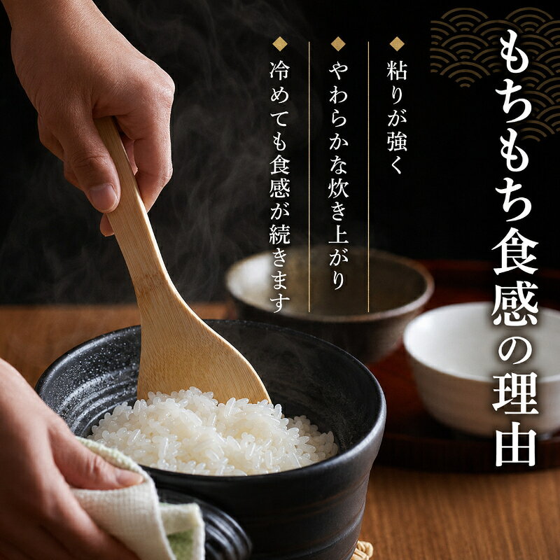 【ふるさと納税】令和7年 ミルキークイーン　白米　5kg【お米 粘り もっちり おに...