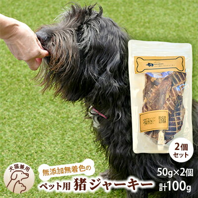 【ふるさと納税】千葉県で獲れた猪ペット用ジャーキー(2個セット）100g　【 ペット用品 ペットフード ..