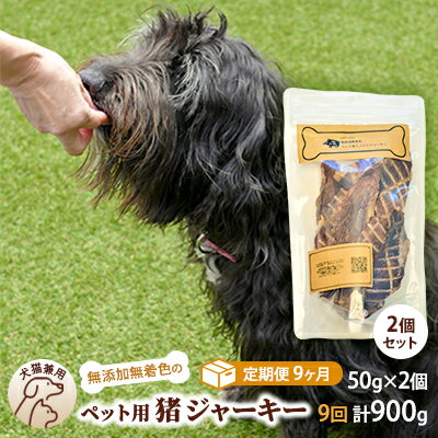 【ふるさと納税】（9回定期便）千葉県で獲れた猪ペット用ジャーキー(2個セット）100g　【定期便・ ペット用品 ペットフード ペットのおやつ おやつ ご褒美 猫用 犬用 無添加 無着色 猪肉 猪肉ジャーキー 】