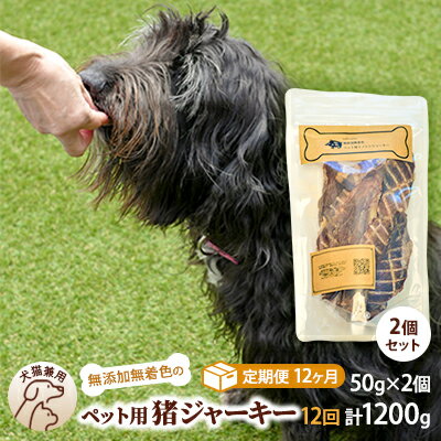 【ふるさと納税】（12回定期便）千葉県で獲れた猪ペット用ジャーキー(2個セット）100g　【定期便・ ペット用品 ペットフード ペットのおやつ おやつ ご褒美 猫用 犬用 無添加 無着色 猪肉 猪肉ジャーキー 】