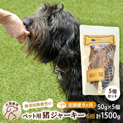 【ふるさと納税】（6回定期便）千葉県で獲れた猪ペット用ジャーキー(5個セット）250g　【定期便・ ペッ..