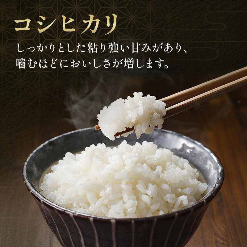 【ふるさと納税】令和7年 無洗米 コシヒカリ 5kg 令和7年産 米 お米 精米 白米 単...
