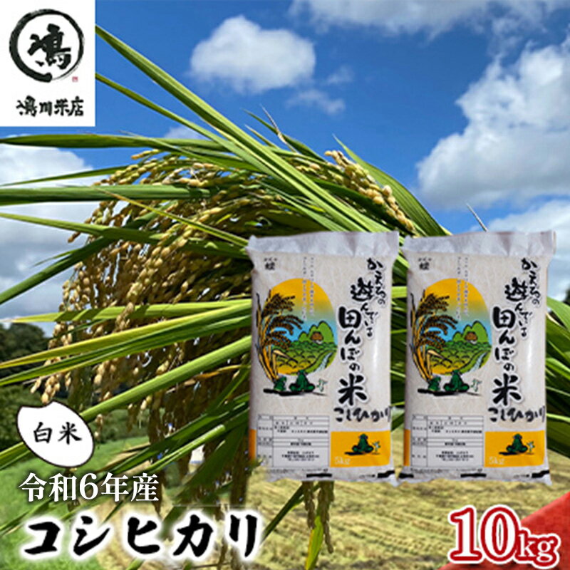 5位! 口コミ数「0件」評価「0」コシヒカリ　白米　10kg（5kg×2）令和5年産　【 お米 精米 ご飯 コシヒカリ 美味しい 粘り つやつや 甘み 】　お届け：2023年･･･ 