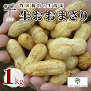【ふるさと納税】生落花生おおまさり1kg 千ブランド 豆類 野菜 食材 ジャンボ落花生 竹炭栽培 甘み コク 食べ応え 千葉県産落花生 国産 お届け:2025年9月20日~10月20日