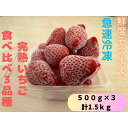 18位! 口コミ数「0件」評価「0」鮮度そのまま!!急速冷凍完熟いちご食べ比べ3品種(紅ほっぺ・かおり野・ほしうらら・やよいひめの中からランダムで3品種)500g×3セット　ふ･･･ 