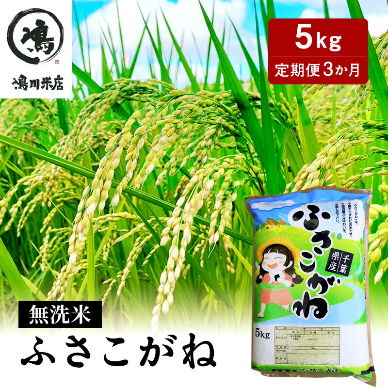 【ふるさと納税】ふさこがね　定期便3か月　乾式無洗米　5kg　【定期便・ お米 ご飯 ブランド米 銘柄米 ご飯 おにぎり お弁当 産地直送 もっちり 粘り 】