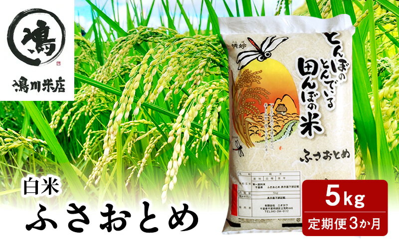 【ふるさと納税】定期便3か月　ふさおとめ　白米　5kg　【定期便・ お米 ご飯 ブランド米 銘柄米 ご飯 おにぎり お弁当 産地直送 しっかりとした食感 あっさり 】