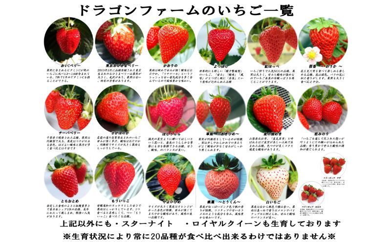 【ふるさと納税】いちご狩り3名用チケット 体験チケット フルーツ狩り 親子 子連れ ファミリー 食べ比べ お出かけ f121002-chiba-10000436 千葉県千葉市 サンプル画像2
