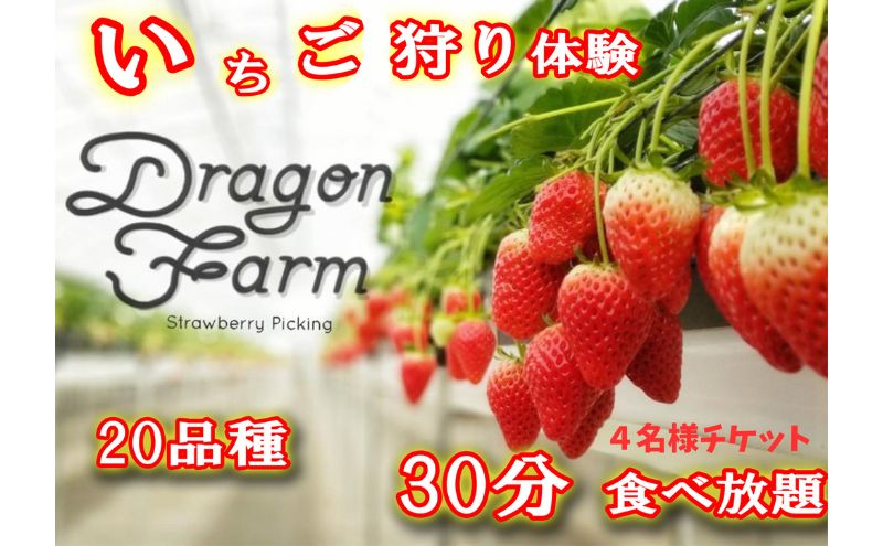 【ふるさと納税】いちご狩り4名用チケット　【 体験チケット フルーツ狩り 親子 子連れ ファミリー 食べ比べ お出かけ 】