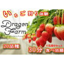 22位! 口コミ数「0件」評価「0」いちご狩り4名用チケット　【 体験チケット フルーツ狩り 親子 子連れ ファミリー 食べ比べ お出かけ 】