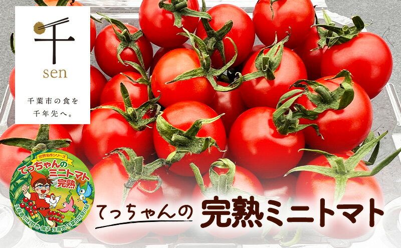 【ふるさと納税】てっちゃんの完熟ミニトマト2kg採れたて農園直送　【 トマト 野菜 完熟 採れたて 千 ブランド 酸味 甘味 美味しい プチトマト 子供 お弁当 お昼 サラダ 】　お届け：2023年12月1日～2024年6月14日