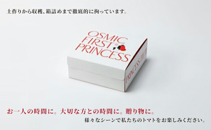 【ふるさと納税】OSMIC FIRST PRINCESS 4箱セット　【トマト オスミック 千 ブランド ミニトマト 野菜】 国産 付け合わせ サラダ トッピング 糖度11 驚きの甘さ 　お届け：2025年1月下旬より順次出荷