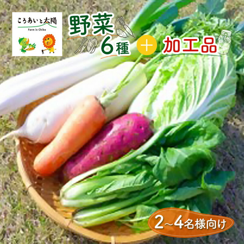 19位! 口コミ数「0件」評価「0」2～4名様向け／野菜6種に加工品をプラス　【 野菜 野菜セット 野菜詰合せ 産地直送 旬の野菜 農園直送 食べ物 食品 グルメ 食卓 ベジタ･･･ 