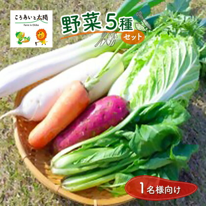 1名様向け／野菜5種セット　【 野菜 野菜セット 野菜詰合せ 産地直送 旬の野菜 農園直送 食べ物 食品 グルメ 食卓 ベジタブル 国産 日本産 国産野菜 】