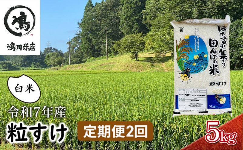 【ふるさと納税】令和7年産 粒すけ 定期便2か月　白米　5kg お米