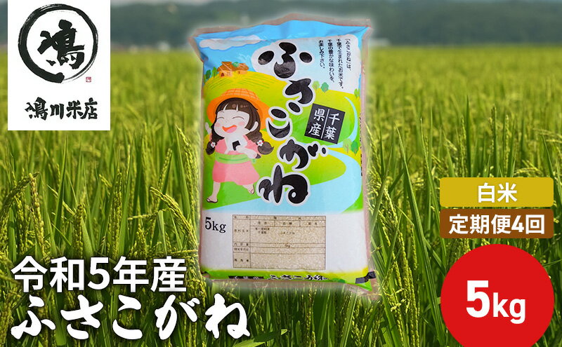 【ふるさと納税】ふさこがね　定期便4ヶ月　白米　5kg　【定期便・ お米 銘柄米 ご飯 おにぎり お弁当 和食 食卓 精米 国産 千葉県産 産地直送 】