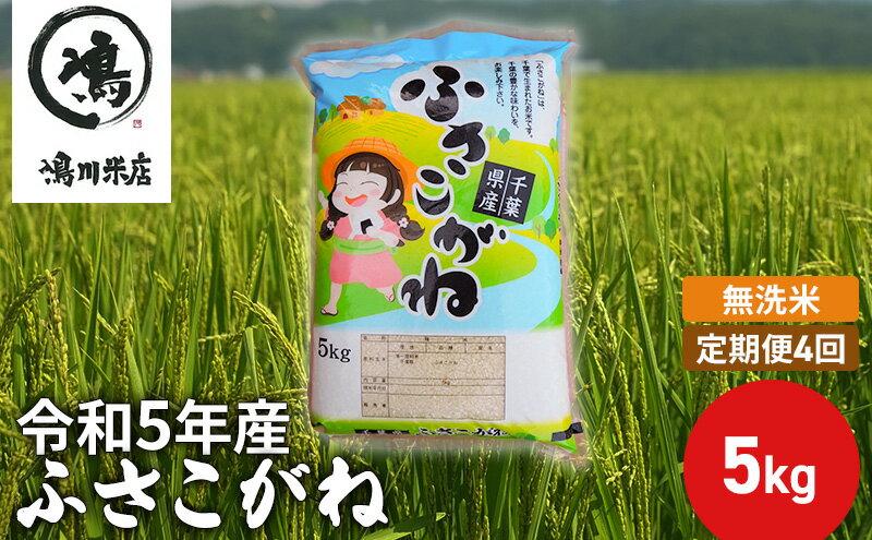 【ふるさと納税】ふさこがね　定期便4ヶ月　乾式無洗米　5kg　【定期便・ お米 銘柄米 ご飯 おにぎり お弁当 和食 食卓 精米 国産 千葉県産 産地直送 】