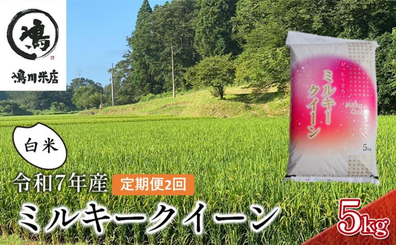 【ふるさと納税】2ヶ月定期便　令和7年 ミルキークィーン　白米　5kg お米 銘柄米 ご飯 おにぎり お弁当 和食 食卓 精米 国産 千葉県産 産地直送