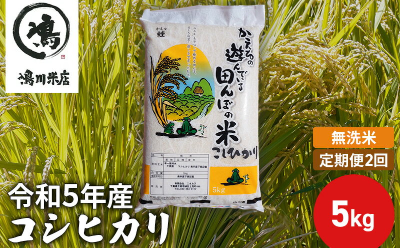 【ふるさと納税】【定期2ヶ月】新米 コシヒカリ 乾式無洗米 5kg 令和5年産　【定期便・ お米 銘柄米 ご飯 おにぎり お弁当 和食 食卓 精米 国産 千葉県産 産地直送 】