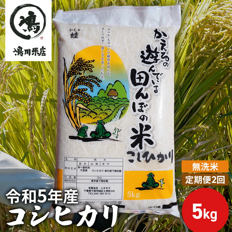 【ふるさと納税】【定期2ヶ月】新米 コシヒカリ 乾式無洗米 5kg 令和5年産　【定期便・ お米 銘柄米 ご飯 おにぎり お弁当 和食 食卓 精米 国産 千葉県産 産地直送 】