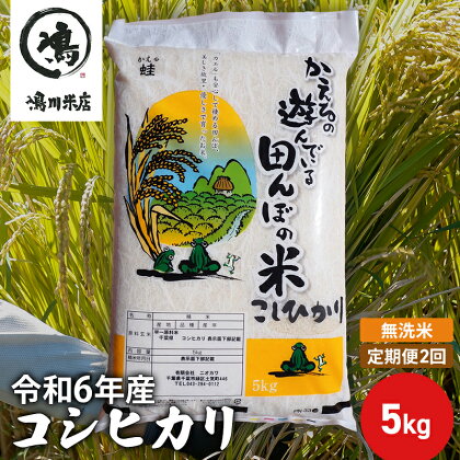 【定期2ヶ月】新米 コシヒカリ 乾式無洗米 5kg 令和5年産　【定期便・ お米 銘柄米 ご飯 おにぎり お弁当 和食 食卓 精米 国産 千葉県産 産地直送 】