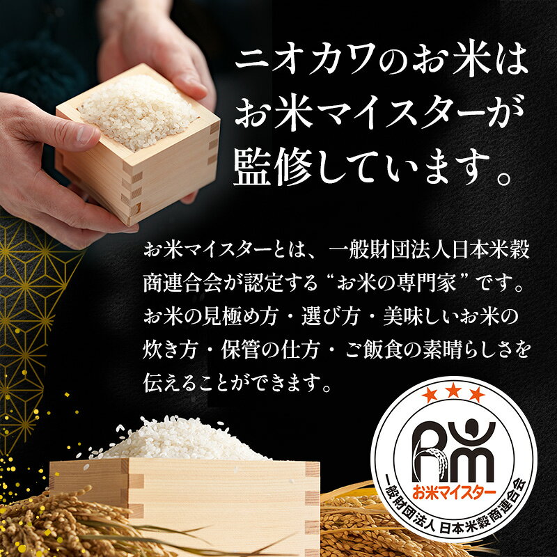 【ふるさと納税】【定期2ヶ月】コシヒカリ 乾式無洗米 5kg 令和7年産 お米 銘柄米 ...