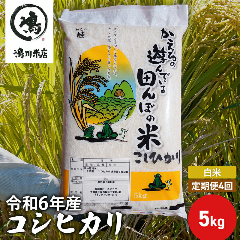 【ふるさと納税】【定期4ヶ月】新米　コシヒカリ　白米　5kg　令和5年産　【定期便・ お米 銘柄米 ご飯 おにぎり お弁当 和食 食卓 精米 国産 千葉県産 産地直送 】