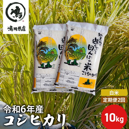 【定期2ヶ月】新米 コシヒカリ　白米　10kg（5kg×2）令和5年産　【定期便・ お米 銘柄米 ご飯 おにぎり お弁当 和食 食卓 精米 国産 千葉県産 産地直送 】