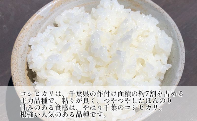 【ふるさと納税】【定期2ヶ月】コシヒカリ　白米　10kg（5kg×2）令和7年産 お米 銘...