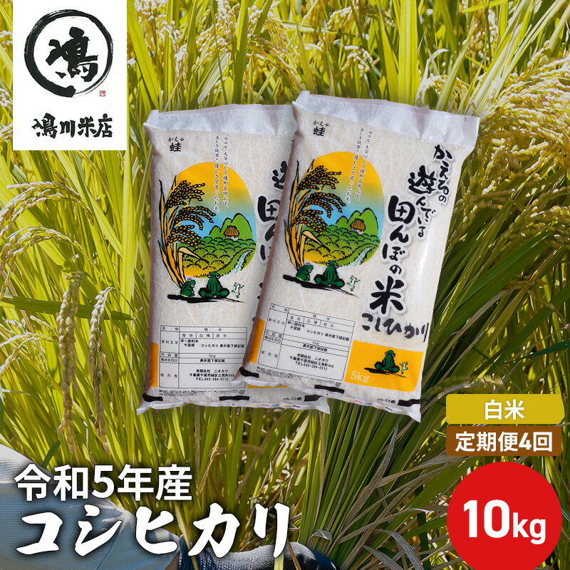 6位! 口コミ数「0件」評価「0」【定期4ヶ月】新米 コシヒカリ　白米　10kg（5kg×2）令和5年産　【定期便・ お米 銘柄米 ご飯 おにぎり お弁当 和食 食卓 精米 ･･･ 