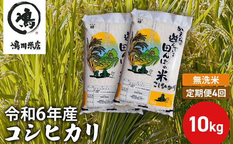 【ふるさと納税】【定期4ヶ月】新米 コシヒカリ 乾式無洗米 10kg（5kg×2）令和5年産　【定期便・ お米 銘柄米 ご飯 おにぎり お弁当 和食 食卓 精米 国産 千葉県産 産地直送 】