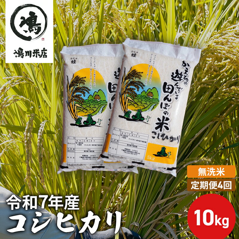 【ふるさと納税】【定期4ヶ月】新米 コシヒカリ 乾式無洗米 10kg（5kg×2）令和6年産　定期便・ お米 銘柄米 ご飯 おにぎり お弁当 和食 食卓 精米 国産 千葉県産 産地直送