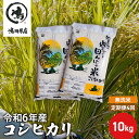 人気ランキング第29位「千葉県千葉市」口コミ数「0件」評価「0」【定期4ヶ月】新米 コシヒカリ 乾式無洗米 10kg（5kg×2）令和5年産　【定期便・ お米 銘柄米 ご飯 おにぎり お弁当 和食 食卓 精米 国産 千葉県産 産地直送 】