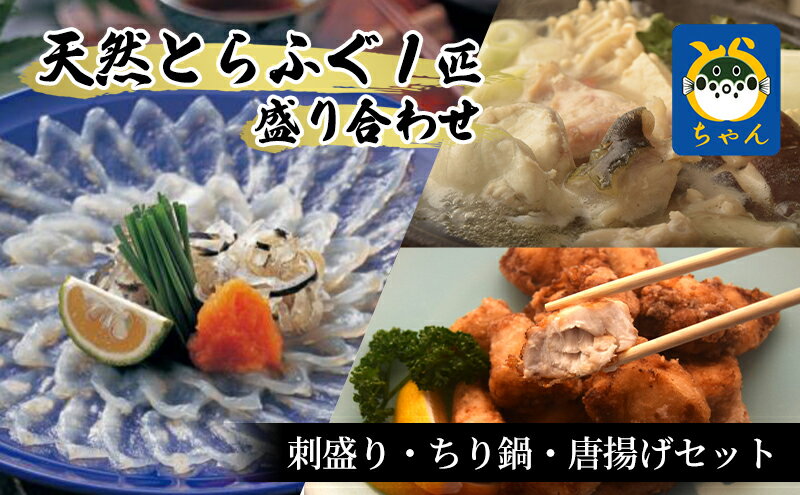 【ふるさと納税】【千葉県産】天然とらふぐ1匹盛り合わせ　刺盛り・ちり鍋・唐揚げセット　【魚貝類・フグ・ふぐ】