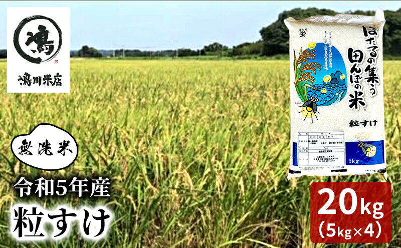 【ふるさと納税】令和5年産 粒すけ　乾式無洗米　20kg（5kg×4）　【 お米 銘柄米 ご飯 おにぎり お弁当 和食 食卓 精米 国産 千葉県産 産地直送 】