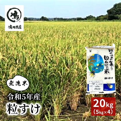 令和5年産 粒すけ　乾式無洗米　20kg(5kg＊4)　【 お米 銘柄米 ご飯 おにぎり お弁当 和食 食卓 精米 国産 千葉県産 産地直送 】