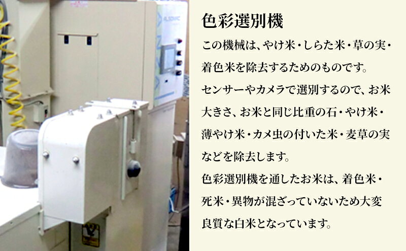 【ふるさと納税】米 若葉の舞 コシヒカリ 白米5kg 定期便9回 こしひかり お米 白米 定期便 精米 千葉 千葉県 低温保存 f121002-chiba-10000736 千葉県千葉市 サンプル画像3