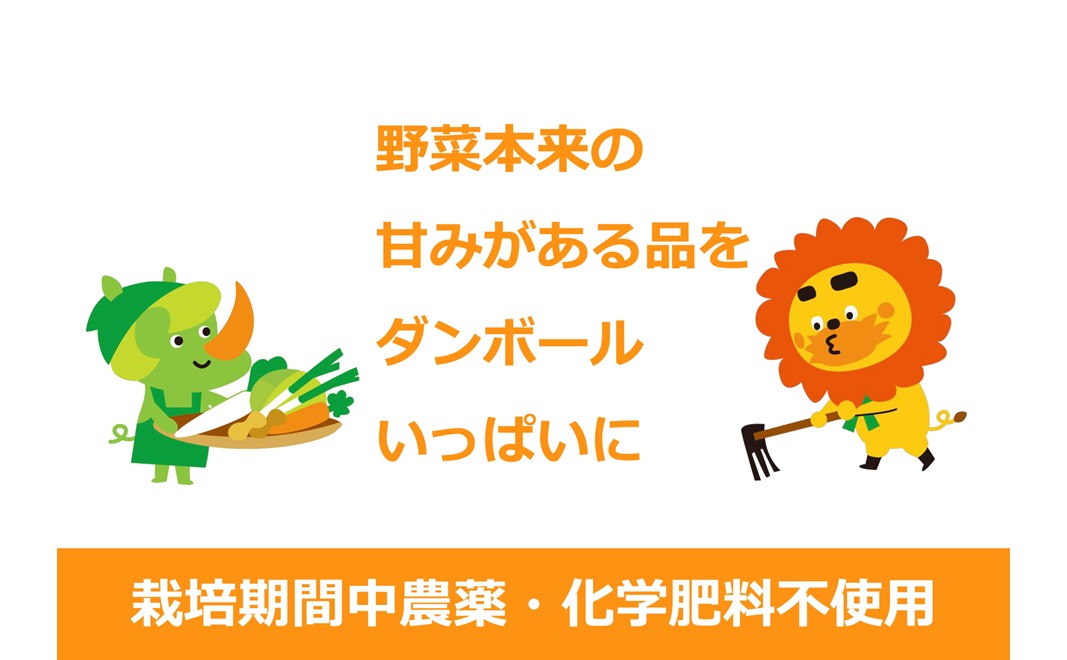 【ふるさと納税】野菜 定期便 3ヶ月 1名様向け 野菜5種 セット 旬の野菜 生野菜 やさい 新鮮 鮮度 産地直送 詰め合わせ 冷蔵 千葉 定期 お楽しみ 3回
