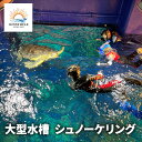 【ふるさと納税】大型水槽 シュノーケリング 体験 チケット クーポン ウミガメ 水槽 千葉市