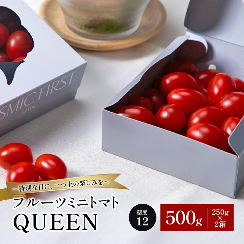 【ふるさと納税】フルーツミニトマトQUEEN 500g(250g×2箱) トマト ミニトマト 国産 野菜 糖度12 濃厚 千葉市 千葉県