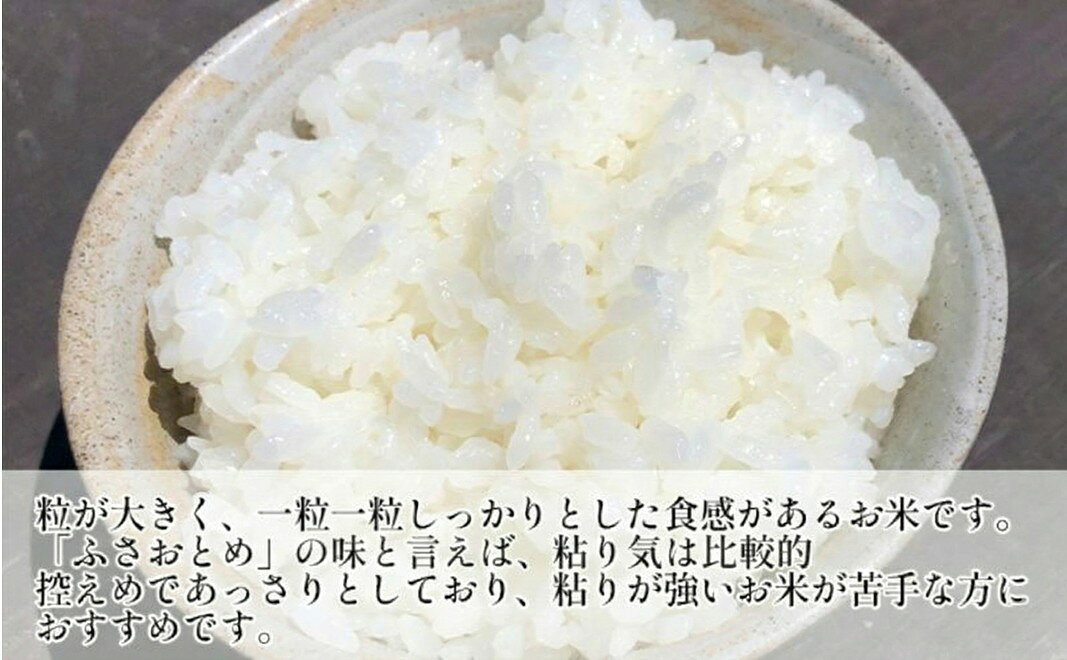 【ふるさと納税】のり　ふさおとめセットB　　【ふさおとめ 2kg無洗米 ・味のり明太子、しそ】　お米 米 こめ コメ 海苔 セット コラボ商品 千葉県 千葉市 f121002-chiba-10002214 千葉県千葉市 サンプル画像3