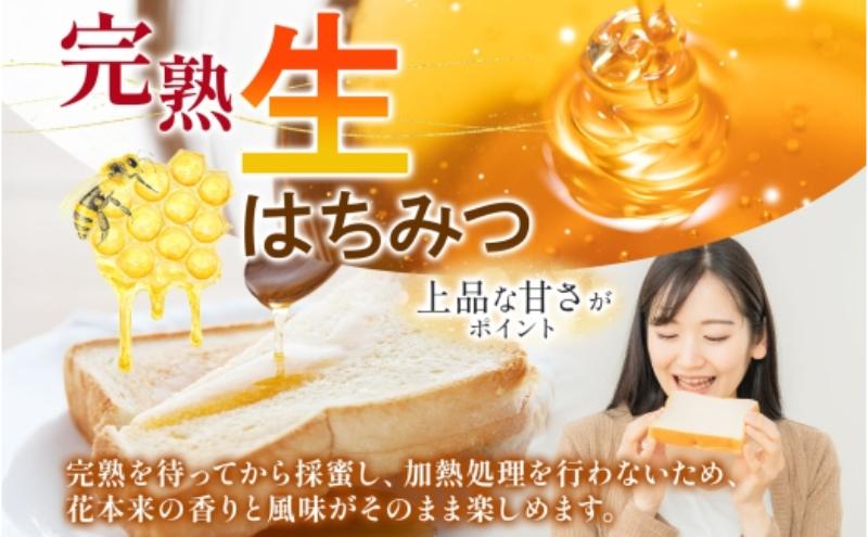【ふるさと納税】はぁもにぃ 養蜂部のはちみつ さとのはな 90g×2個 蜂蜜 ハチミツ 完熟 生はちみつ 非加熱 千葉県産 里山 花の蜜 百花蜜 ギフト 送料無料 千葉県 千葉市