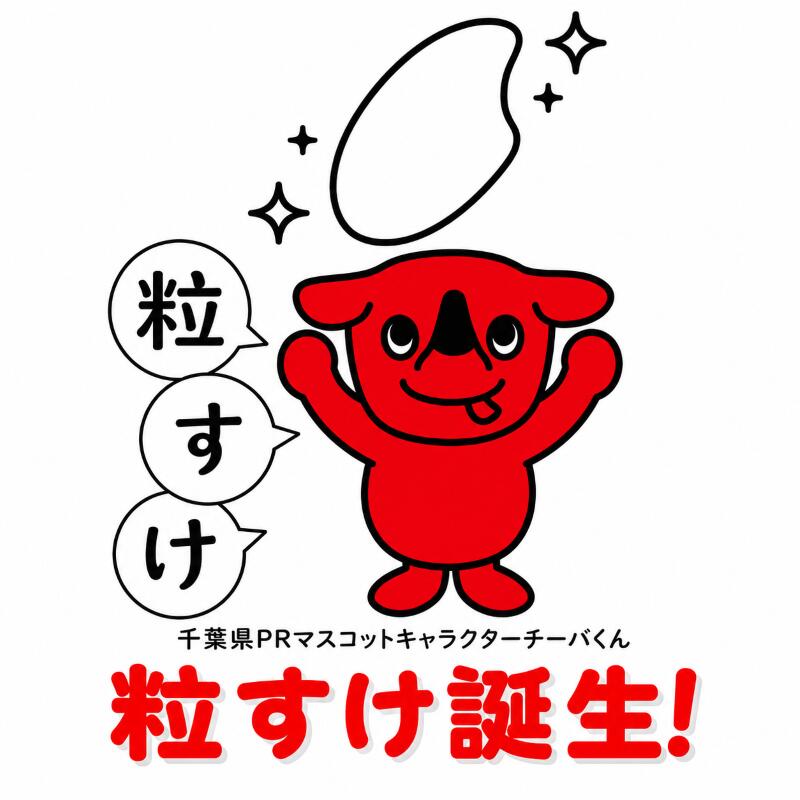 【ふるさと納税】 訳あり 粒すけ 8kg ちばの新しいお米 米 こめ ご飯 おこめ 千葉県産 ライス ブランド米 精米 白米 風味 お米 美味しいごはん おにぎり 家計応援 15000 直送 家庭用 サイズ 送料無料 ふるさと納税 ふるさと納税お米 ふるさと納税米 千葉県 銚子市 根本商店