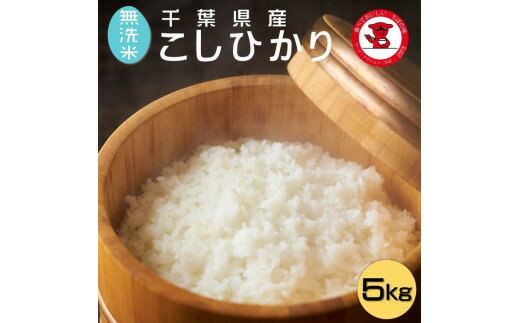 24位! 口コミ数「0件」評価「0」 【無洗米】コシヒカリ 5kg 千葉県産こしひかり 千葉県 銚子市