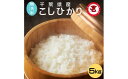 28位! 口コミ数「0件」評価「0」 【無洗米】コシヒカリ 5kg 千葉県産こしひかり 千葉県 銚子市