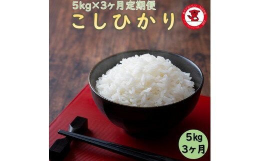 【ふるさと納税】 3カ月定期便 千葉県産コシヒカリ5kg 千葉県 銚子市