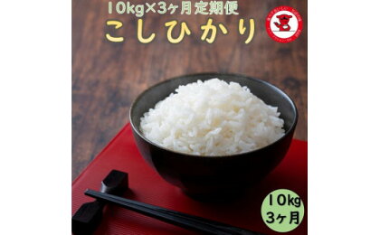 3カ月定期便千葉県産コシヒカリ10kg 千葉県 銚子市